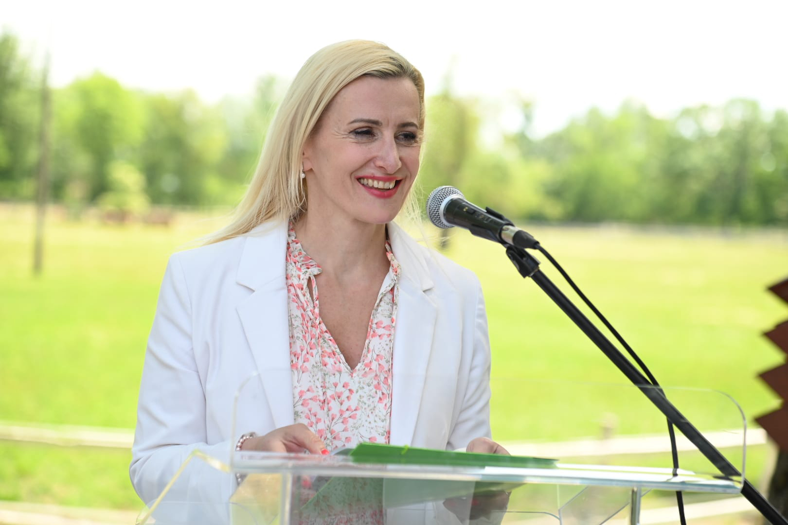 1vl 2.JPG